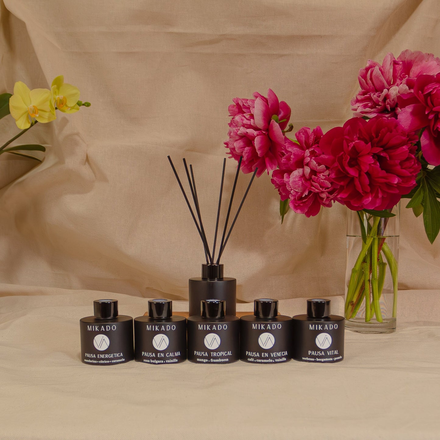 Mikado Black 100 ml - Difusor en Varillas