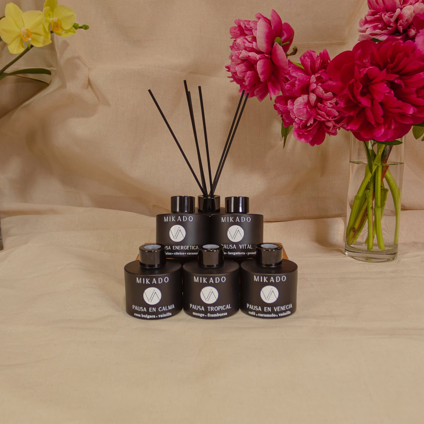 Mikado Black 100 ml - Difusor en Varillas