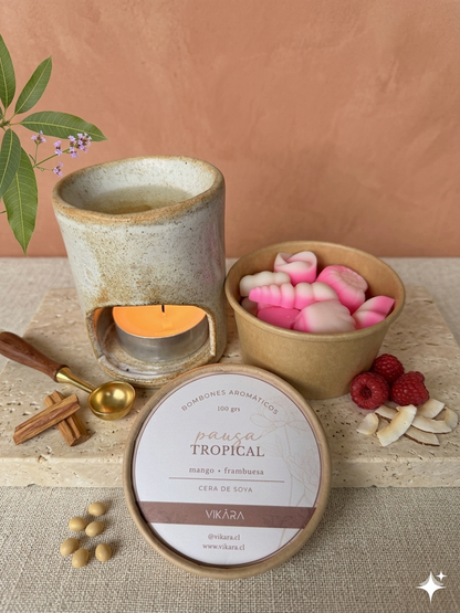 Wax Melts o Bombones Aromáticos 100 grs