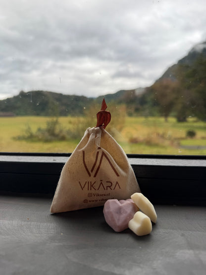 🎀 Regalo Cyber · Bolsita Vikara
