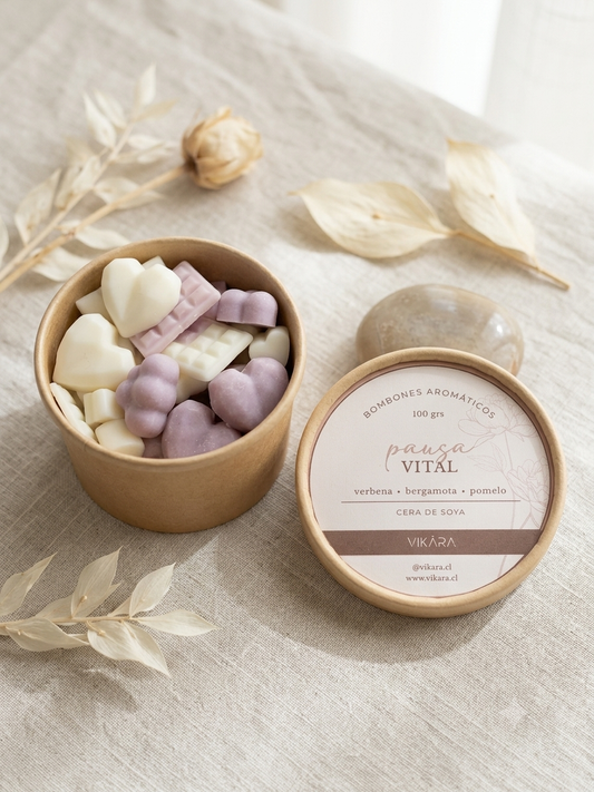 Bombones Aromáticos VIKARA 100 g – Wax Melts Artesanales