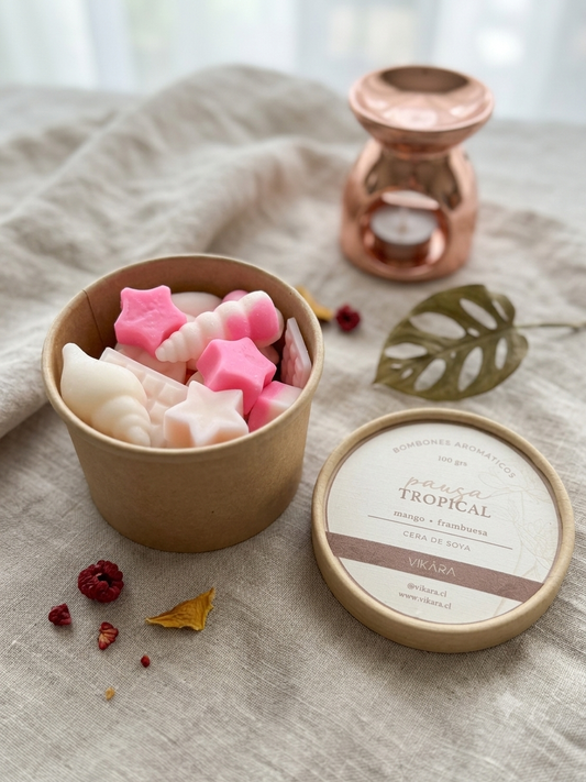 Bombones Aromáticos VIKARA 100 g – Wax Melts Artesanales